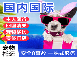宝安航空货运国际宠物托运 【国